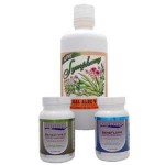 Radiant Health Plan Step 3.2