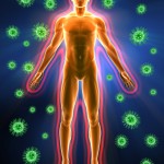 Fight Bugs & Pollen - holistically